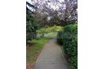 Etagenwohnung Hartha - 1 Zimmer, 35 m&sup2;, 219&euro; | Angebot:25418311