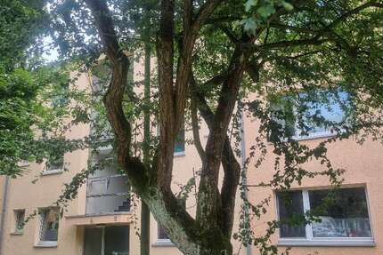 Wohnung Düsseldorf Knittkuhl - 4 Zimmer, 78 m&sup2;, 900&euro; | Angebot:27005245