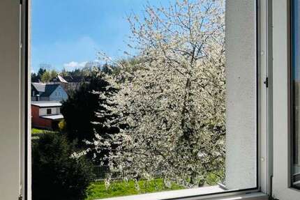 Wohnung Freital Deuben - 2 Zimmer, 50 m&sup2;, 294&euro; | Angebot:26759030