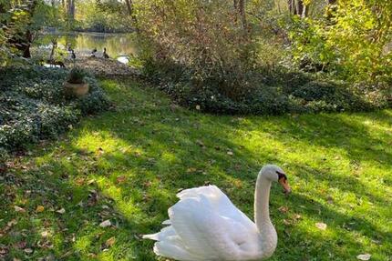 Haus Kempen - 2 Zimmer, 87 m&sup2;, 1.250&euro; | Angebot:24987609