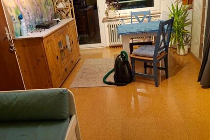 Wohnen auf Zeit Bühlertal - 1 Zimmer, 20 m&sup2;, 550&euro; | Angebot:25901270