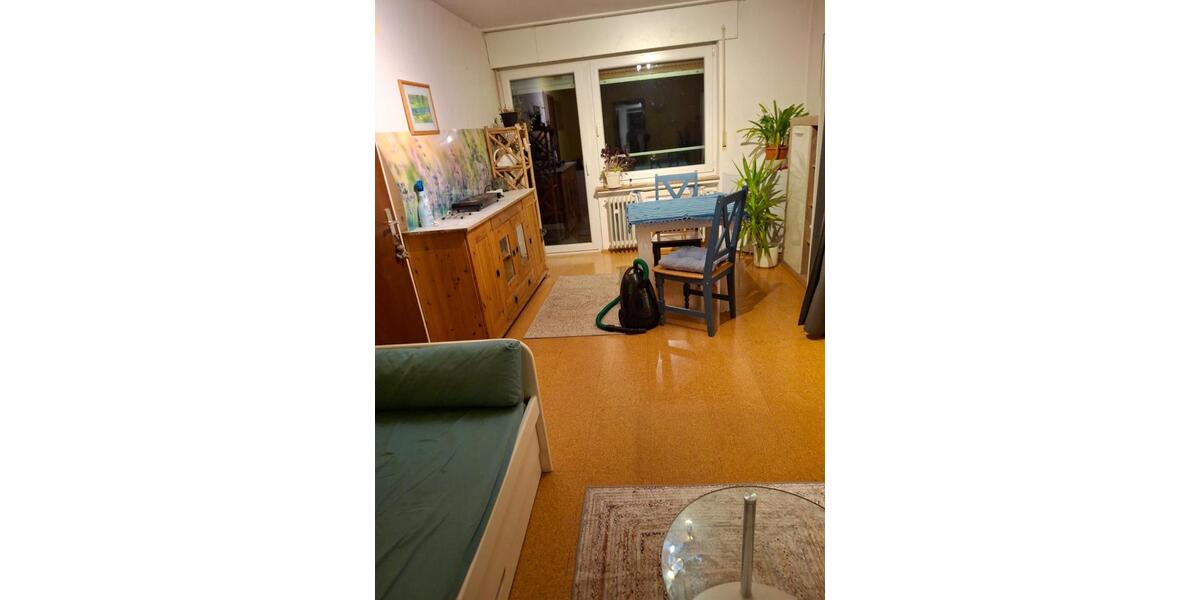 Wohnen auf Zeit Bühlertal - 1 Zimmer, 20 m&sup2;, 550&euro; | Angebot:25901270