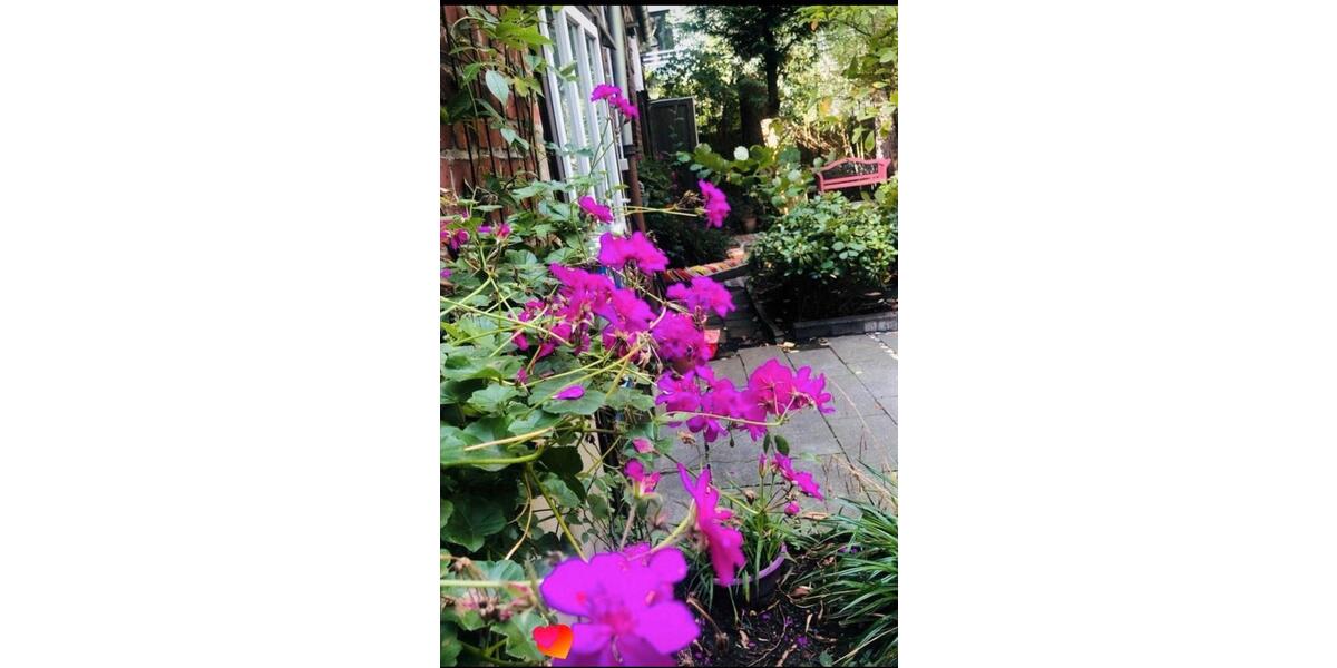 Gewerbeobjekt Düsseldorf Stadtbezirk 5 - 400&euro; | Angebot:25780656