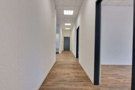 Wohnung zum Mieten in Mannheim 1.936 € 176 m² 4 zimmer