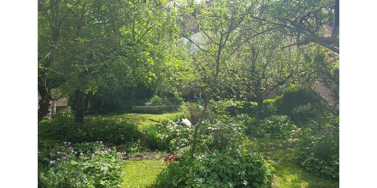 Wohnen auf Zeit Volkach - 2 Zimmer, 60 m&sup2;, 30&euro; | Angebot:14122313