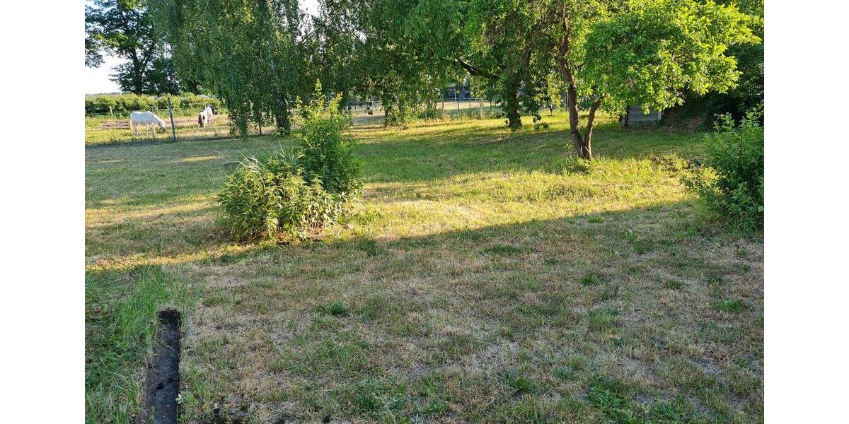 Terrassenwohnung Wusterhausen/Dosse Dosse - 2 Zimmer, 55 m&sup2;, 750&euro; | Angebot:26701567