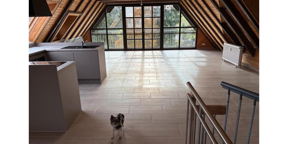 Dachgeschoßwohnung Berschweiler bei Baumholder - 1 Zimmer, 120 m&sup2;, 1.200&euro; | Angebot:24753409