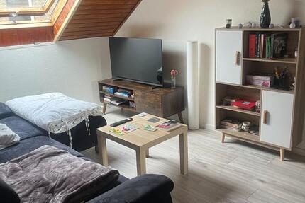 1,5 Zimmer Wohnung zimmer