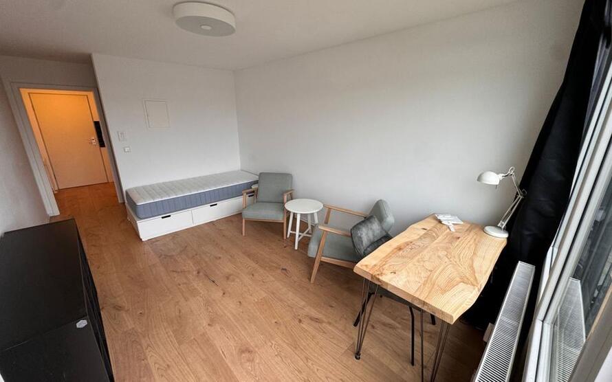 1-Zimmerwohnung mit TV, Wlan, DuscheWC, Küche, Waschmaschine, Trockner und Balkon