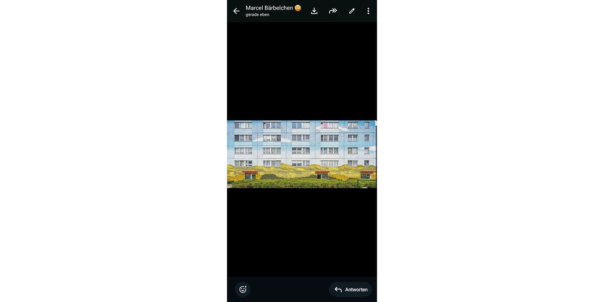 Etagenwohnung Schwedt (Oder) - 4 Zimmer, 80 m&sup2;, 650&euro; | Angebot:26255042