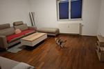 WG ZIMMER IN ALT BOCKLEMÜND zimmer