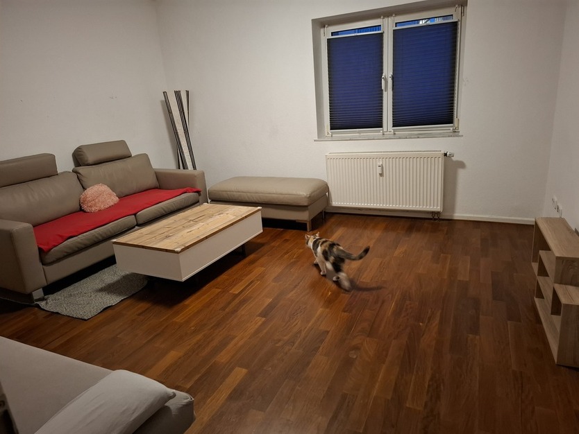 WG ZIMMER IN ALT BOCKLEMÜND zimmer