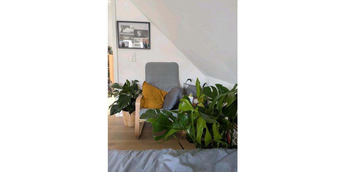 Wohnen auf Zeit Gießen Schlangenzahl - 1 Zimmer, 10 m&sup2;, 340&euro; | Angebot:26568084