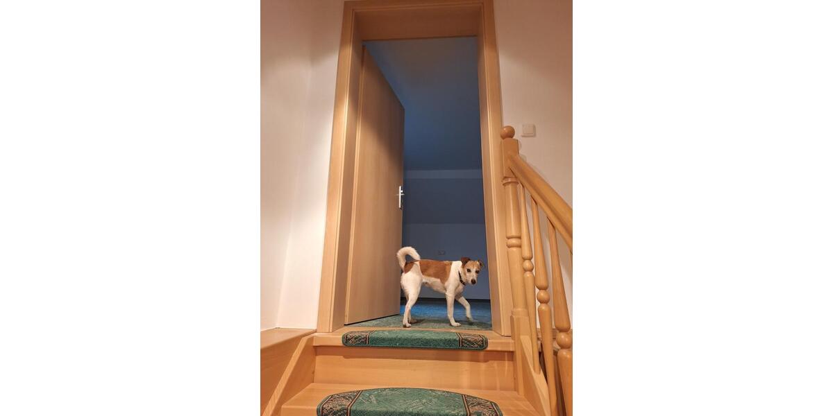 Etagenwohnung Kamenz - 3 Zimmer, 90 m&sup2;, 790&euro; | Angebot:24975407