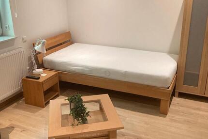 Möbliertes Apartment für Pendler ab 01.04.2026 zu vermieten 1 zimmer