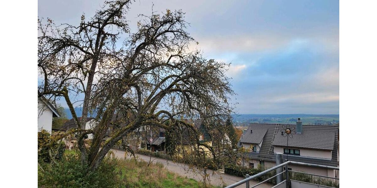 Wohnen auf Zeit Gailingen am Hochrhein - 1 Zimmer, 9 m&sup2;, 450&euro; | Angebot:26224697