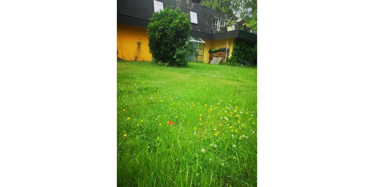 Loft - Studio - Atelier Seevetal - 2 Zimmer, 90 m&sup2;, 1.310&euro; | Angebot:24836372