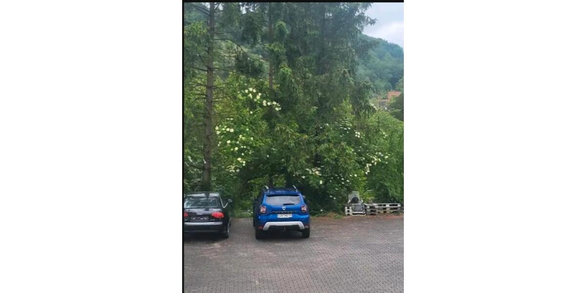 Etagenwohnung Forchtenberg - 3 Zimmer, 77 m&sup2;, 690&euro; | Angebot:25590617