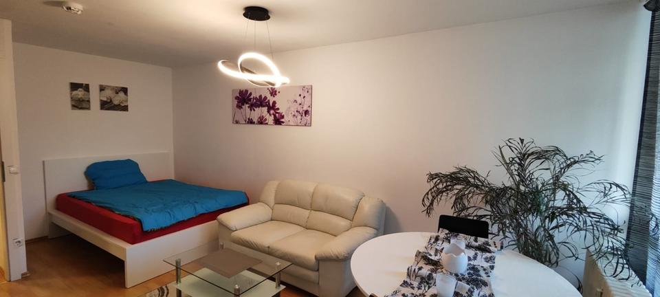 Möblierte 1 Zimmer Wohnung am Wöhrdersee mit Balkon 1 zimmer