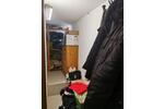Dachgeschoßwohnung Einbeck - 3.5 Zimmer, 66 m&sup2;, 560&euro; | Angebot:26552105