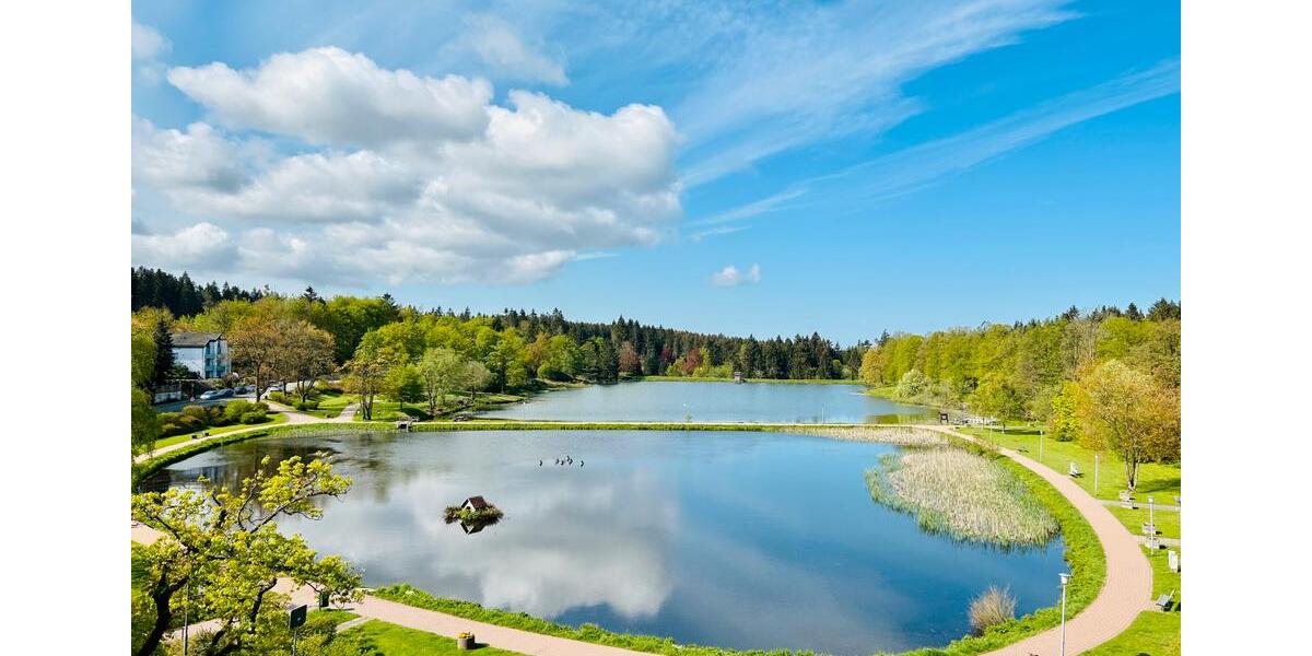 Etagenwohnung Goslar OS Hahnenklee-Bockswiese - 1 Zimmer, 32 m&sup2;, 320&euro; | Angebot:26498284