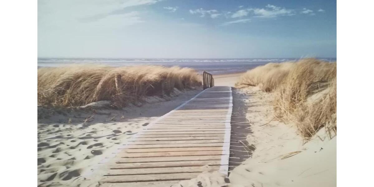 Erdgeschoßwohnung Esens - 2 Zimmer, 65 m&sup2;, 975&euro; | Angebot:25408685