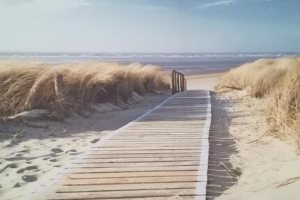 Wohnung Esens - 2 Zimmer, 65 m&sup2;, 975&euro; | Angebot:25408685