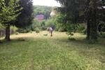 Wohnen auf Zeit Wernigerode - 1 Zimmer, 17 m&sup2;, 400&euro; | Angebot:26681752