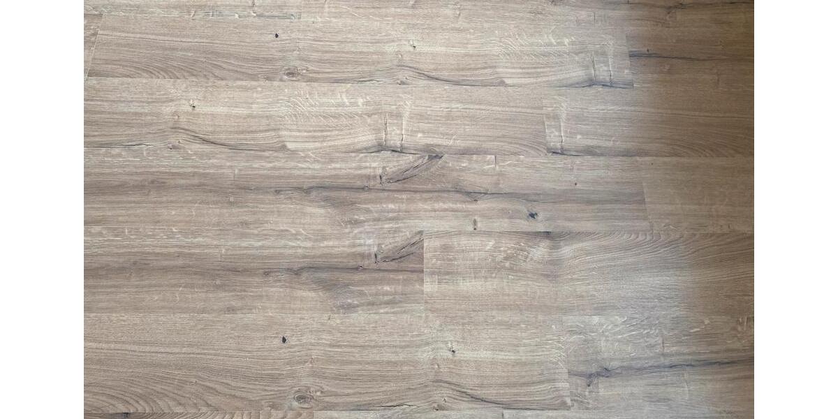 Etagenwohnung Gelsenkirchen Buer - 1 Zimmer, 32 m&sup2;, 373&euro; | Angebot:25398257