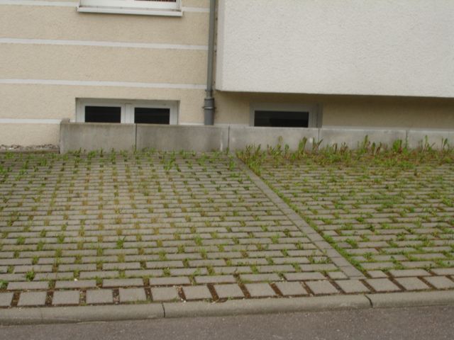 LUXUSPUR 5 Zi. DG 112m² + UG 17m² Büro-Hobbyraum an max. 3 Pers. zum 1.7.26 - Dachgeschoßwohnung Lorch | Angebot:26227932