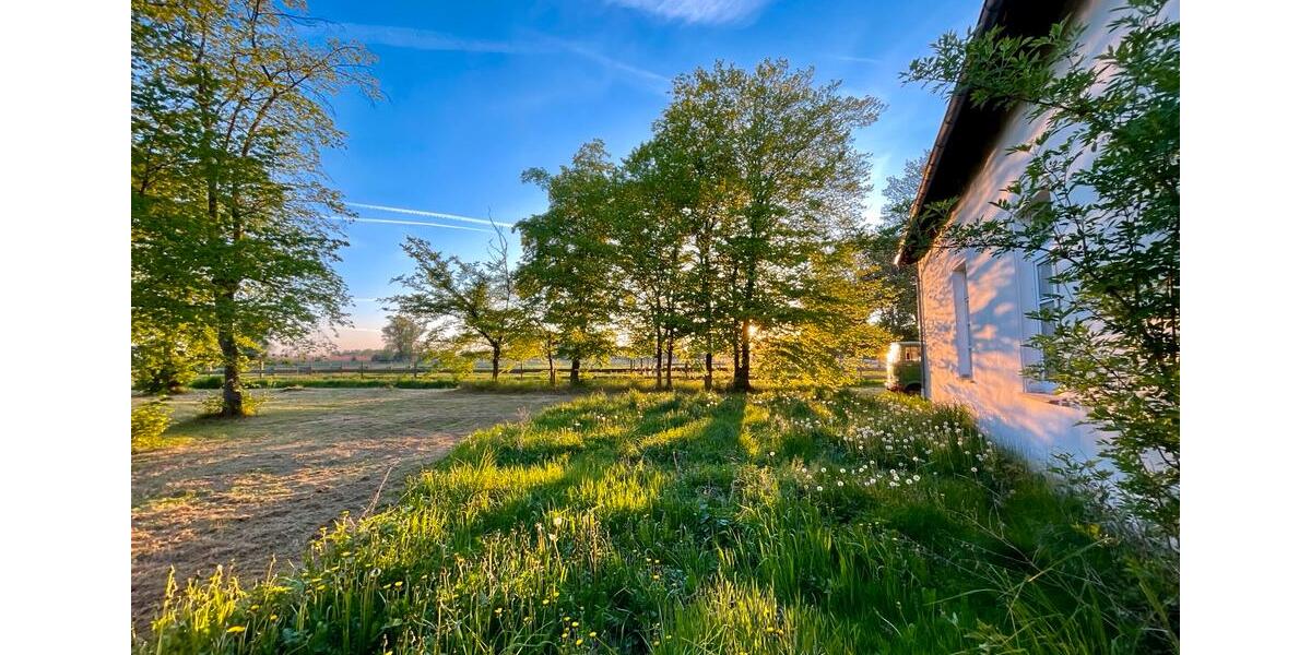 Gewerbeobjekt Usedom - 1.600&euro; | Angebot:26561112