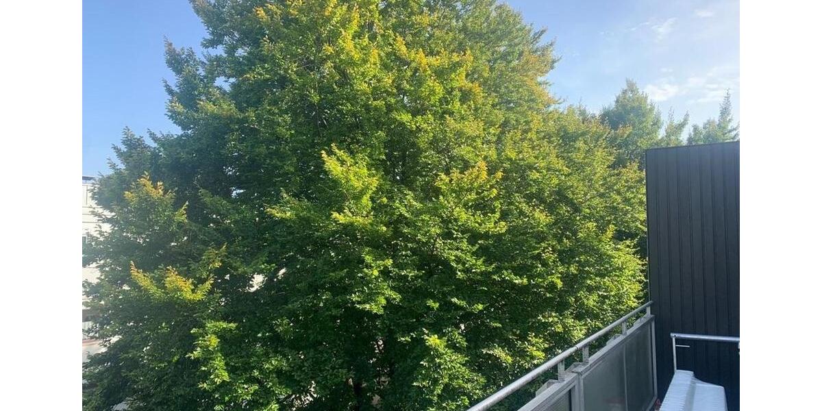 Einfamilienhaus München Pasing-Obermenzing - 3.5 Zimmer, 100 m&sup2;, 1.990&euro; | Angebot:24887389