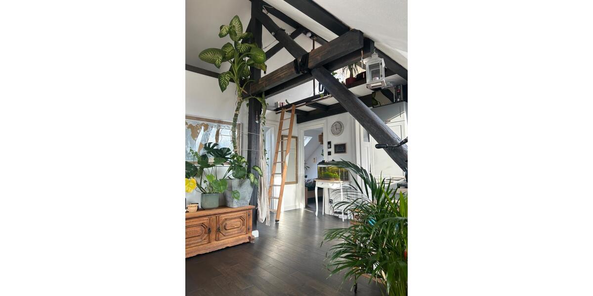 Dachgeschoßwohnung Trier - 2.5 Zimmer, 60 m&sup2;, 1.200&euro; | Angebot:24921324