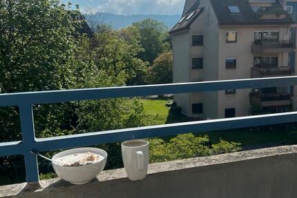 1 Zimmer Appartement - Renoviert, Top Lage, Blick ins Grüne 1 zimmer