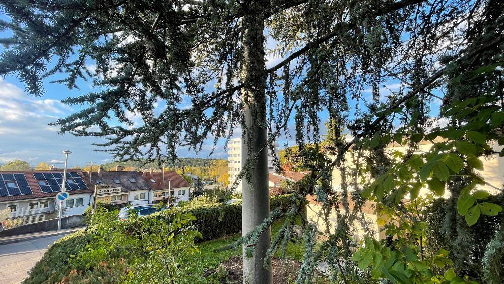 Mehrfamilienhaus, Wohnhaus Weil der Stadt - 6 Zimmer, 132 m&sup2;, 2.300&euro; | Angebot:25690065