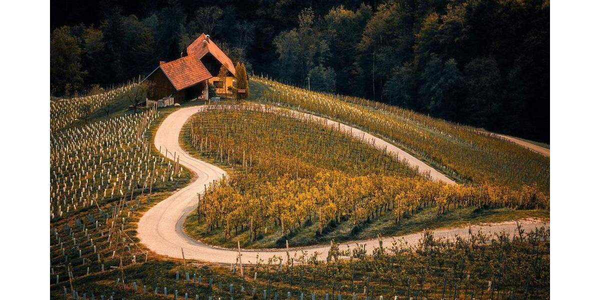 Etagenwohnung Oberkirch Tiergarten - 2 Zimmer, 48 m&sup2;, 410&euro; | Angebot:25531217