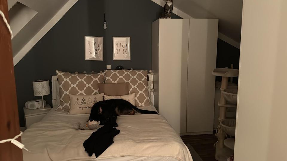 Dachgeschoßwohnung Erbach - 1 Zimmer, 68 m&sup2;, 950&euro; | Angebot:25598814