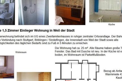 möblierte 1,5 Zi-Wohnung Weil der Stadt zu vermieten ab 42026 1.5 zimmer
