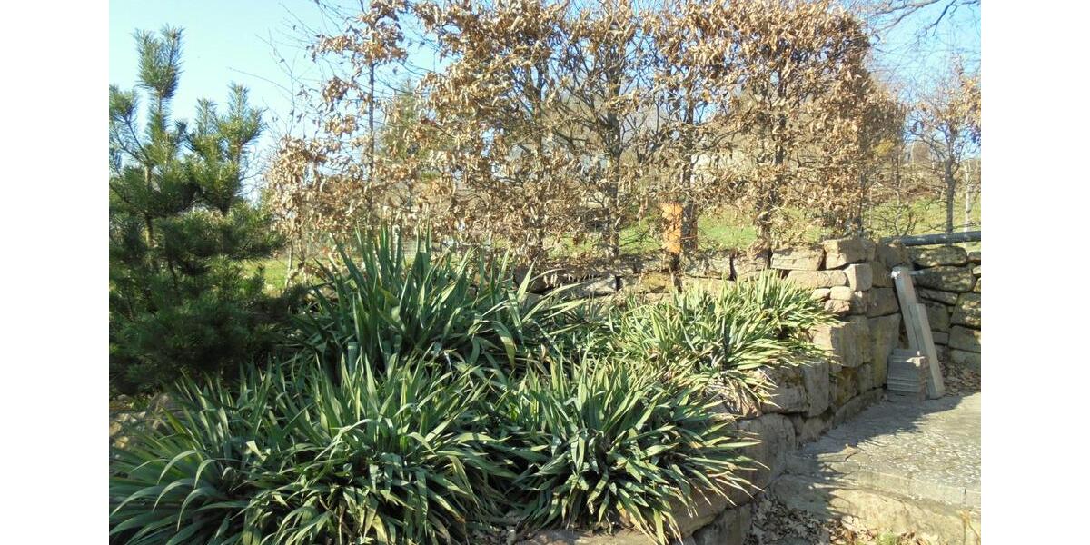 Einfamilienhaus Bad Brückenau - 6 Zimmer, 155 m&sup2;, 1.250&euro; | Angebot:25812932