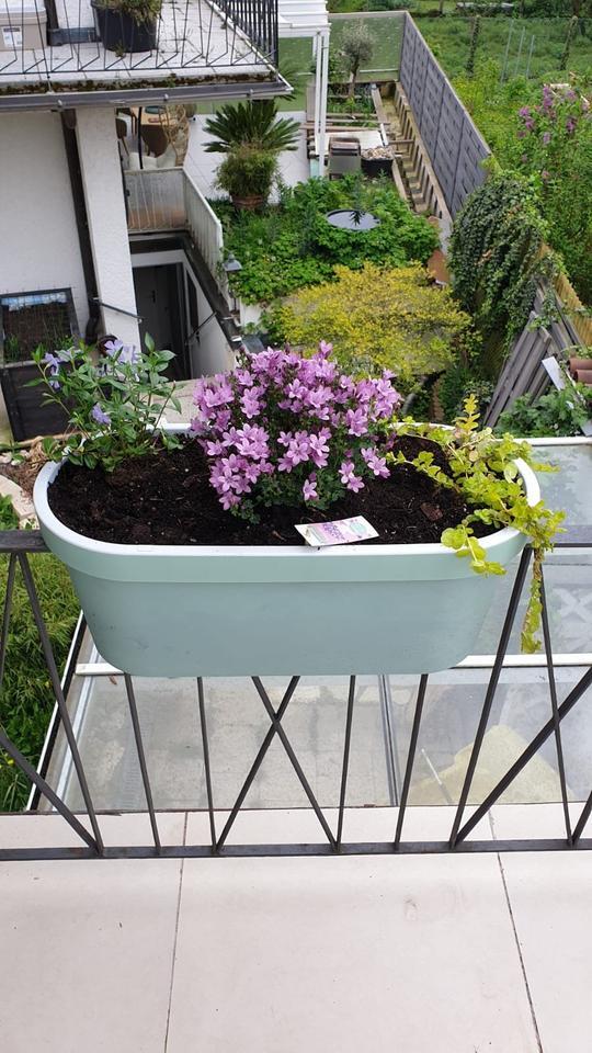 Schönes WG-Zimmer in Baden-Baden