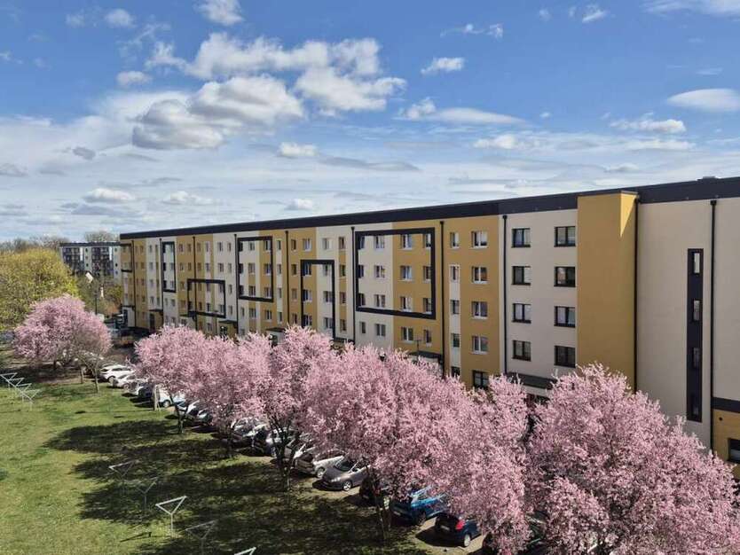 Wohnung zum Mieten in Wolmirstedt 404 € 67.32 m²