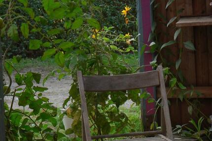 Wohnung in Rethwisch 2 zimmer