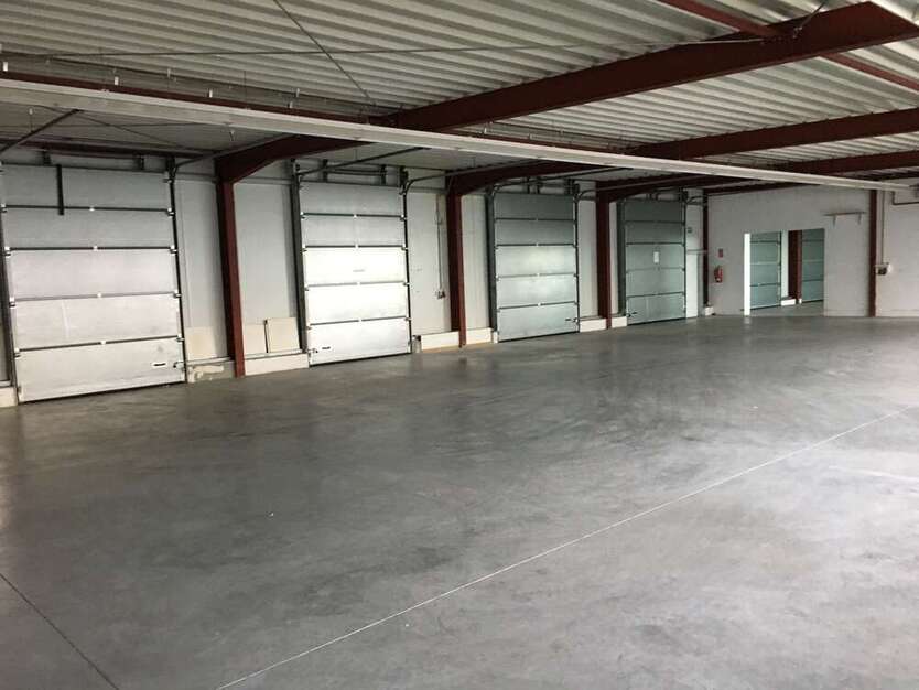 Halle in Paderborn 1.695 € 372 m²
