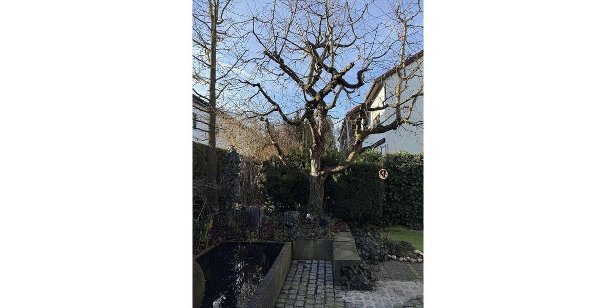 Großz. DHH beste Lage, ca. 130 m² Wfl., 5 Zi., Bj. 1983, Kanal nur 50 m entfernt, Garage + Carport ! 5 zimmer