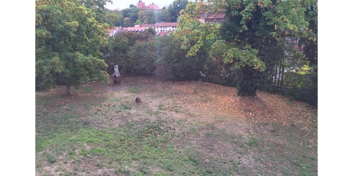 Dachgeschoßwohnung Eisleben (Lutherstadt) - 2 Zimmer, 53 m&sup2;, 319&euro; | Angebot:22507918