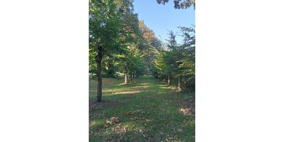 Gewerbeobjekt Ranzin Ranzin - 3 Zimmer, 2.000&euro; | Angebot:25801650