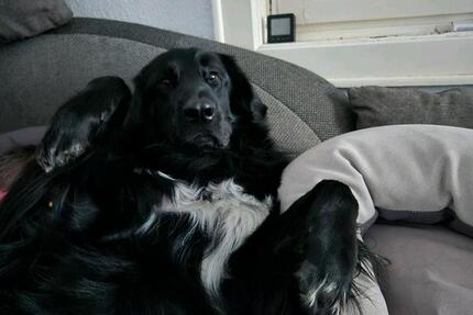 Haus Solms - 1.000&euro; | Angebot:23850683