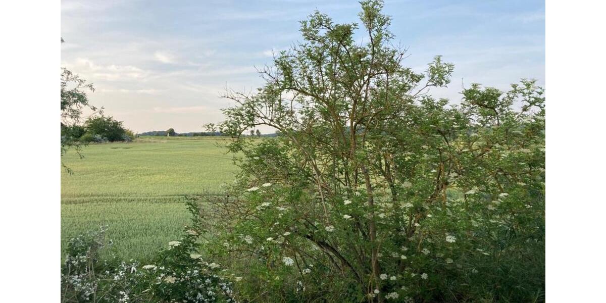 Wohnung im Grünen 110 qm 3 zimmer