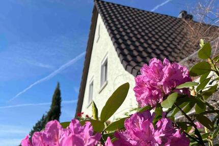 Zwischenvermietung! Sonnige 2-Zimmerwohnung mit Balkon nahe Frank