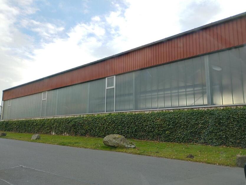 Halle mit Kran 600m² zu vermieten